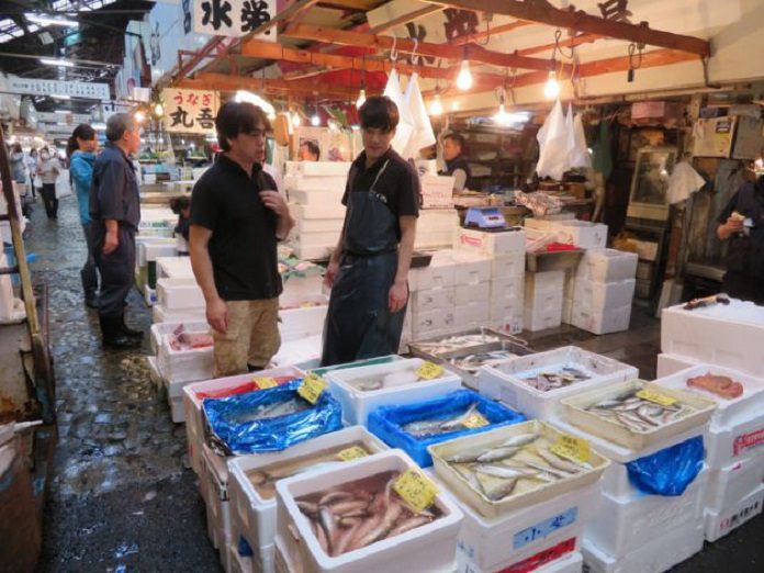 東京築地市場搬家，上萬老鼠無家可歸？（示意圖）