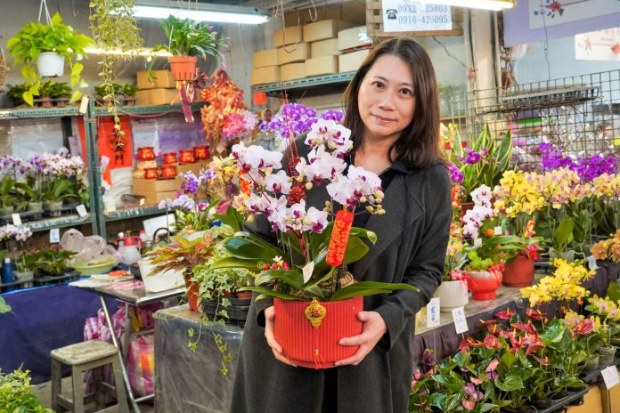 喜氣花卉點亮新年的好運氣　板橋花市延長營業時間