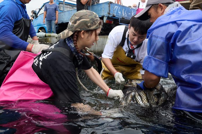 許富凱被9000隻香魚逼瘋-王彩樺慘遭魚襲現場崩潰尖叫