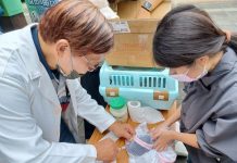 中市5-6月巡迴注射活動開跑！　愛毛孩快去施打狂犬病疫苗